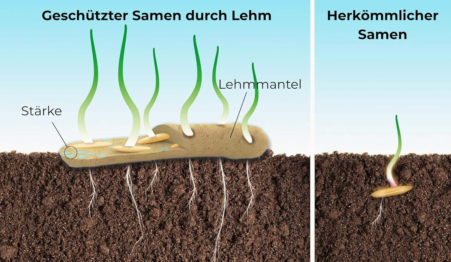 Semințe de flori într-un înveliș protector de argilă pentru albine și fluturi, 400g. Amestec de flori sălbatice perene și rezistente la iarnă, pentru 20 m². Semințe frumoase de flori sălbatice pentru o pășune colorată pentru albine. Cadou pentru copii.