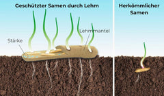 Semințe de flori într-un înveliș protector de argilă pentru albine și fluturi, 400g. Amestec de flori sălbatice perene și rezistente la iarnă, pentru 20 m². Semințe frumoase de flori sălbatice pentru o pășune colorată pentru albine. Cadou pentru copii.