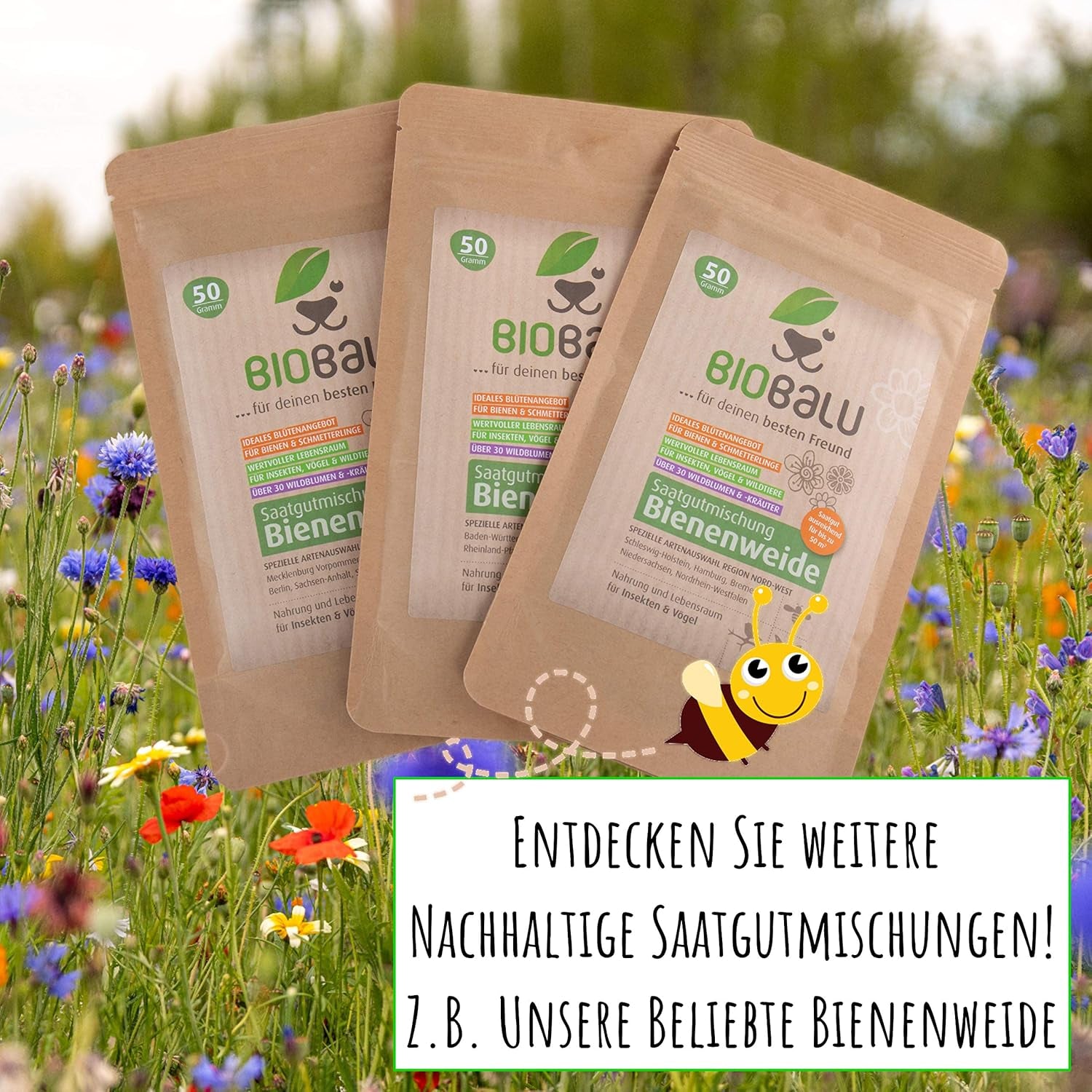 Wilde Apotheke - 50 Traditionelle Heilkräuter Samen - Bienenfreundliche Wildblumenwiese, Wildkräuter Samen Mehrjährig & Regional, Arzneipflanzen Saatgutmischung 30 G