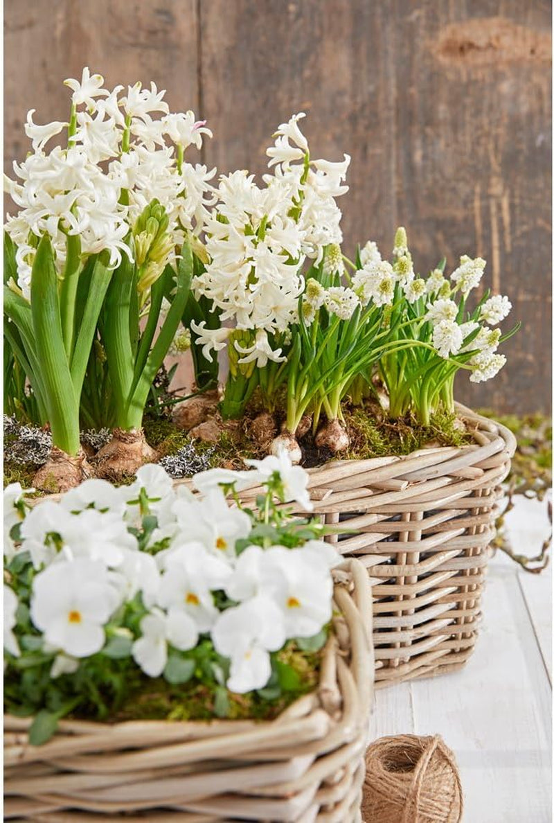 Ghiveci Dehner din ratan, aprox. 40 x 23 x 20 cm, țesătură de ratan, gri/maro