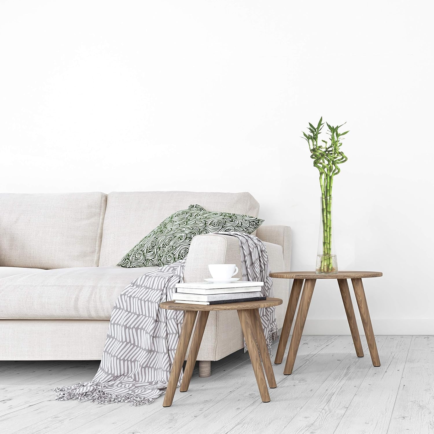5X Lucky Bamboo Glücksbambus - 50Cm GEDREHT - Spiral in Verschiedenen Groessen - Zimmerbambus Gluecksbambus Zimmer Deko Bam Boo Dracaena Sanderiana Zimmerpflanze