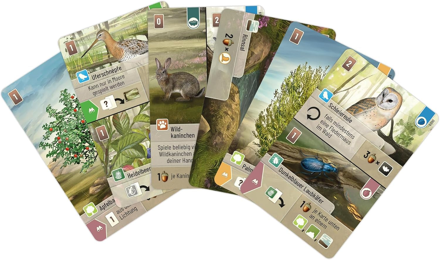 Lookout, Pădure mixtă: Dartmoor, Joc de bază, Joc de familie, Joc de cărți, 2-5 jucători, Vârste 10+, 60 de minute, Germană