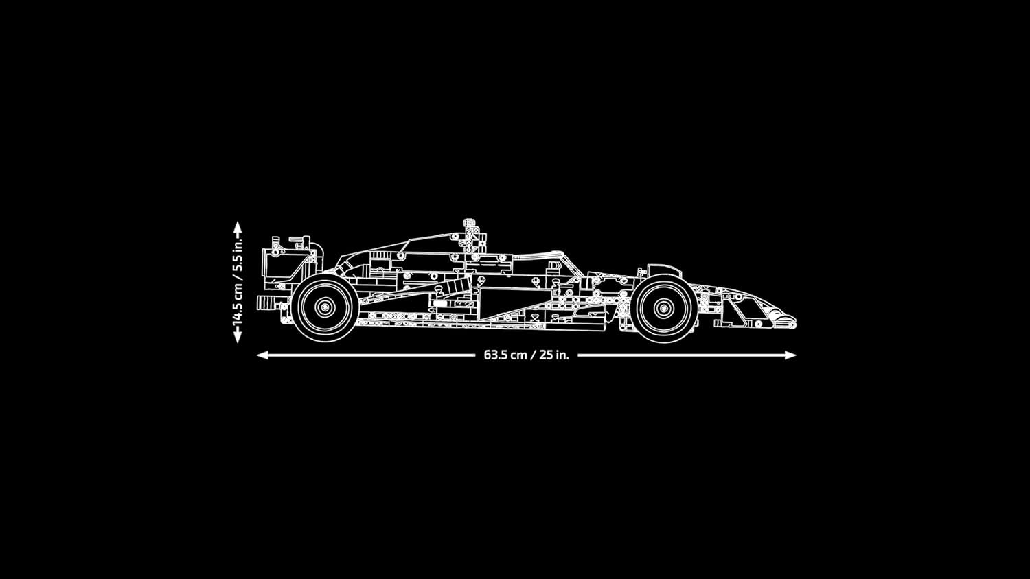 LEGO Technic Oracle Red Bull Racing RB20 F1 Rennauto Modell - Formel 1 Bauset zum Sammeln - V6-Motor, Getriebe, Lenkung & DRS im Maßstab 1:8 - Geschenkidee für Erwachsene & Teenager 42206