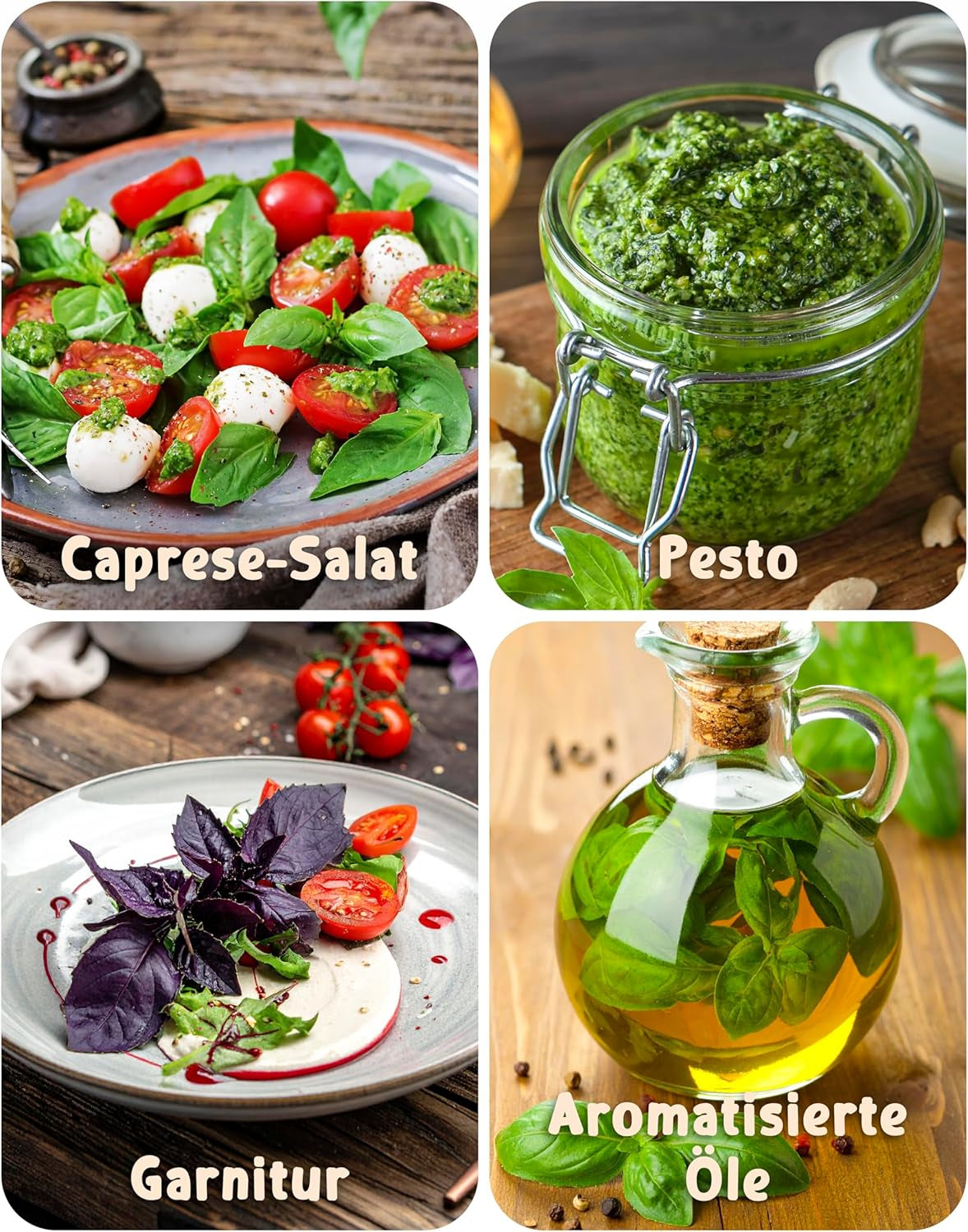 Semințe de busuioc organice într-un set de 6 - 6 semințe de busuioc pentru cultivare ușoară în grădină, balcon sau strat înălțat - semințe de plante - răsaduri