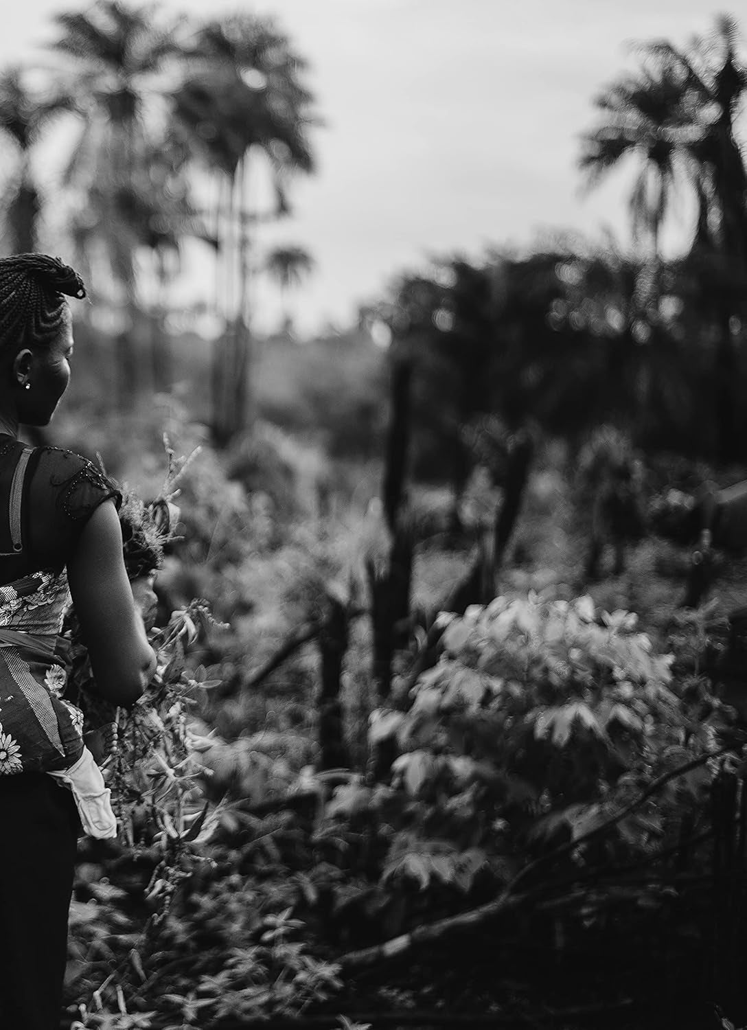 Cafea specială Boconó Specialty Coffee Ethiopia 100% Arabica, prăjire medie, 1 kg - Ideală pentru cafea V60, Chemex, Kalita etc.