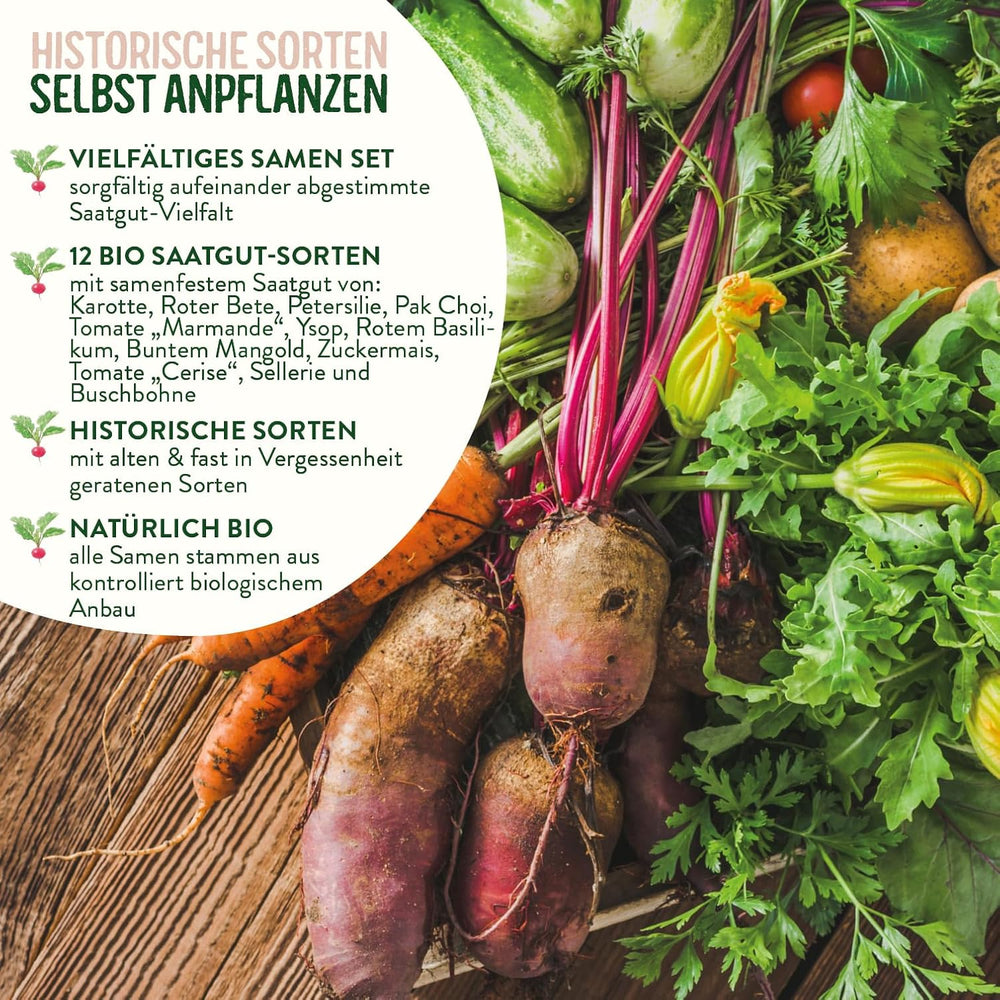 BIO Historisches Gemüse Samen Set I Seltene U. Alte Gemüsesorten Samen Im Gemüsesamen Set I Gemüse Anzuchtset I Samenfestes Saatgut I Samen Gemüse Als Gemüse Samen Set I Tolles Garten Geschenk
