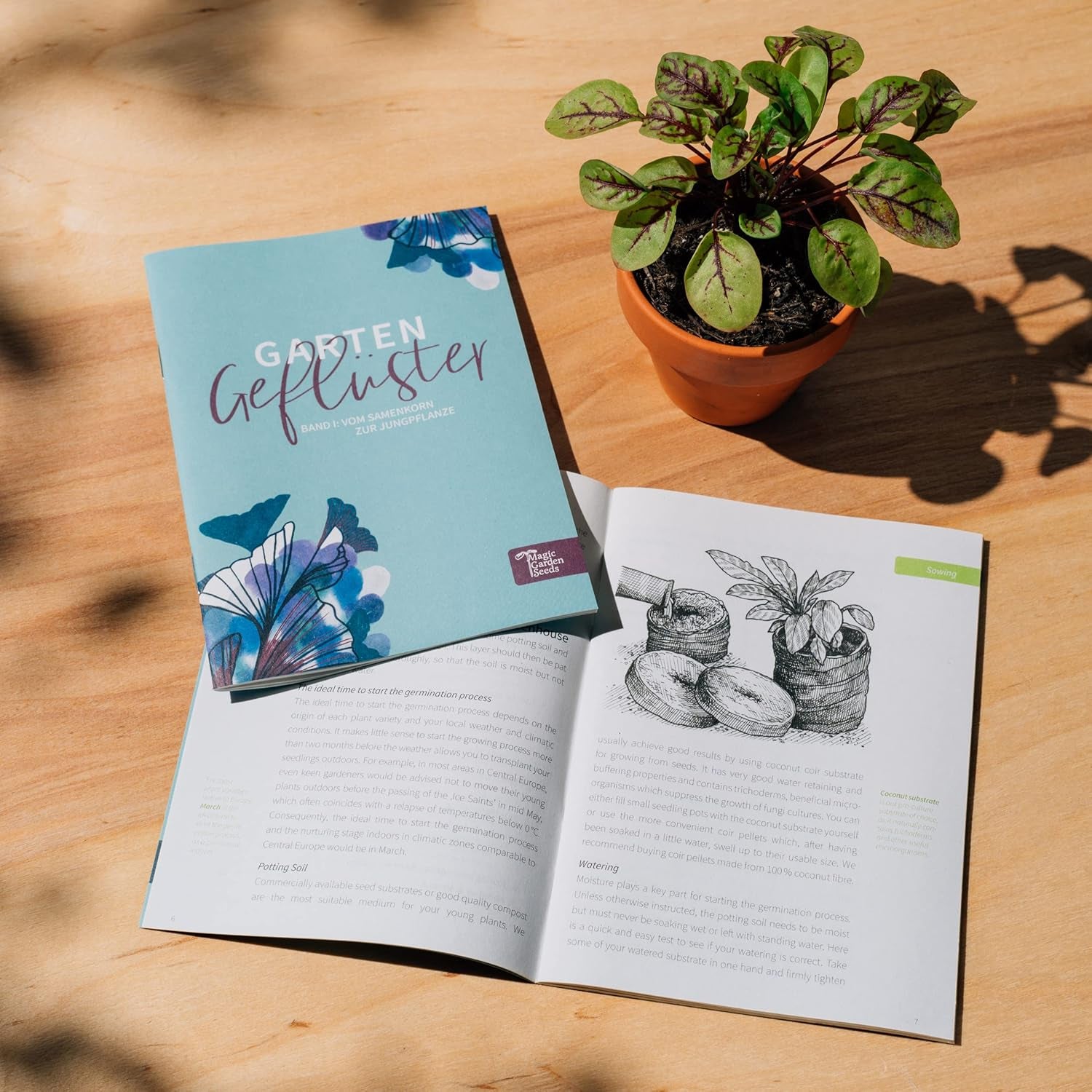 Althergebrachte Kraft- Und Schutzpflanzen (Bio) - Samen-Geschenkset Mit 4 Sehr Alten, Traditionellen, Magischen Kräutersorten