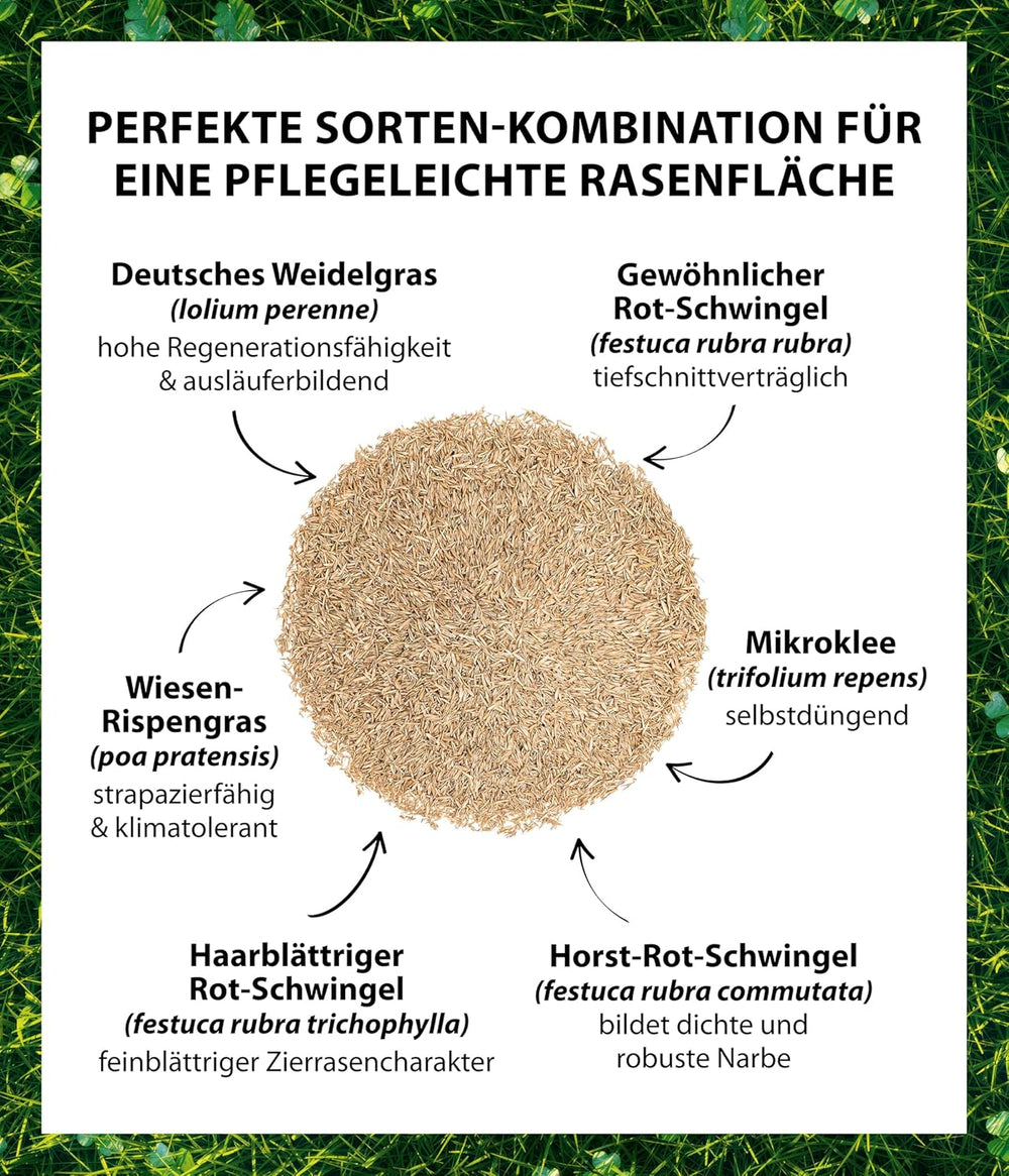 Dehner Saatgut Mikroklee-Rasen, Hochwertige Rasensamen Für Dichten/Sattgrünen Rasen Mit Feiner Optik, Pflegeleicht/Selbstdüngend, Ideal Für Spiel- & Entspannungsflächen, 1.25 Kg Für Ca. 50 M²