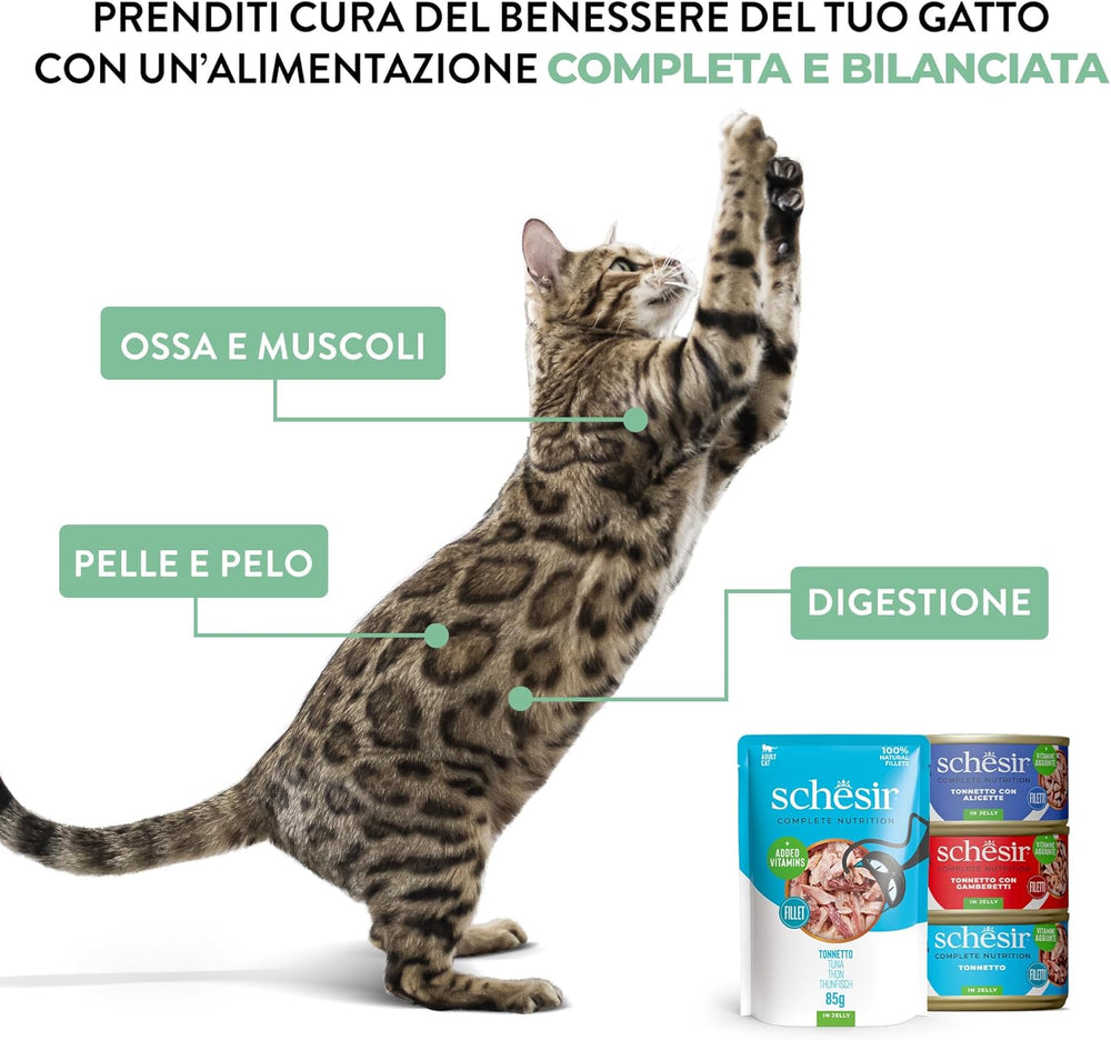 , Thunfisch mit blauem Fisch in Gelee, komplettes Nassfutter für Katzen, im Beutel, mit zusätzlichen Vitaminen, 100% natürlich, 6 x 85 g