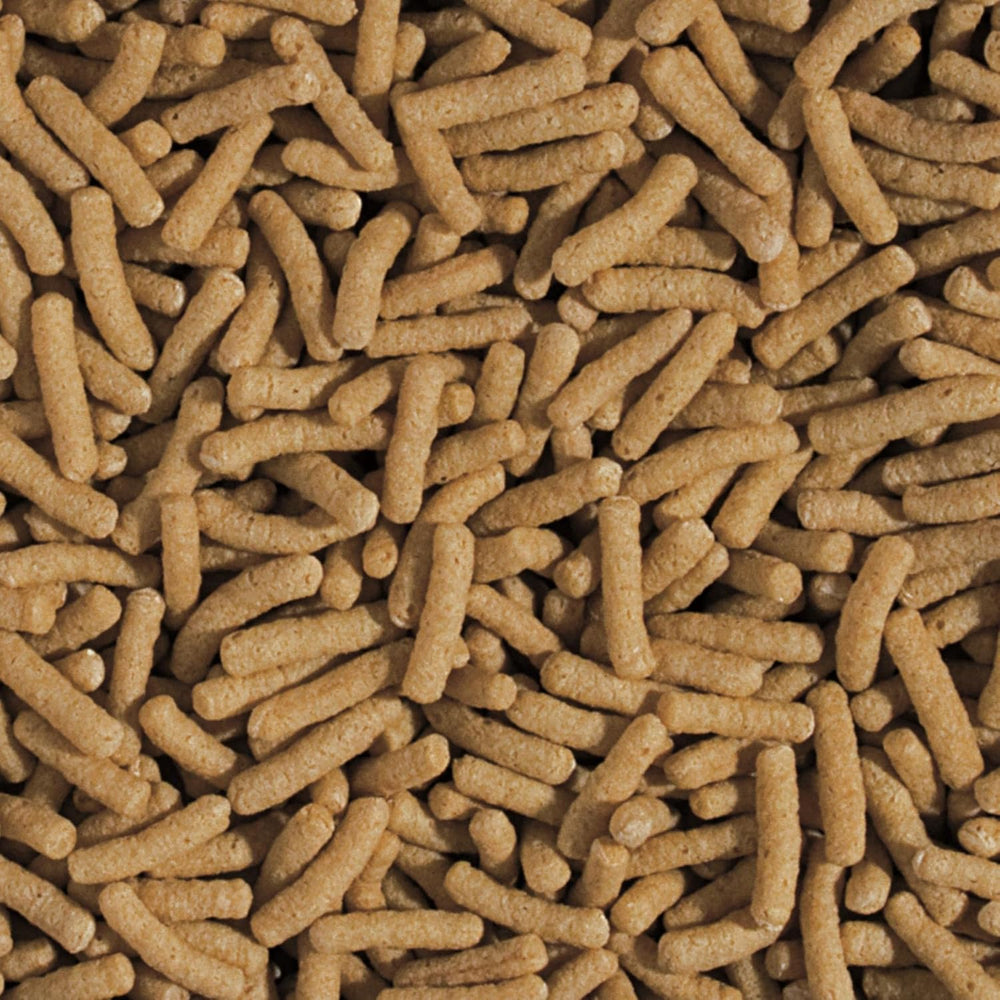 Bețișoare cu germeni de grâu și usturoi KOI&Goldfish 5L / 430g - Hrană pentru pești de iaz pentru hrănirea zilnică a peștilor koi într-o gamă largă de temperaturi de la 8 la 30°C