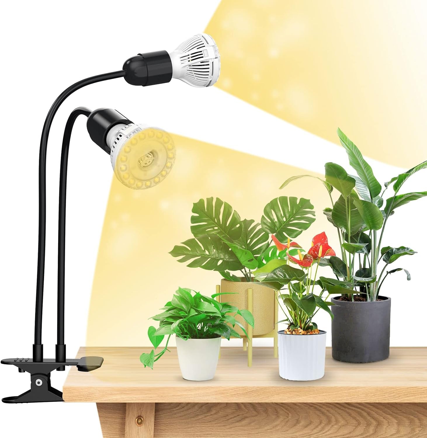 Lampă LED SANSI pentru plante de interior, lampă de creștere cu 2 capete, spectru complet de 10W (echivalent 150W), temporizator 4/8/12 ore, lumină suspendată pentru plante de interior, seră, hidroponică