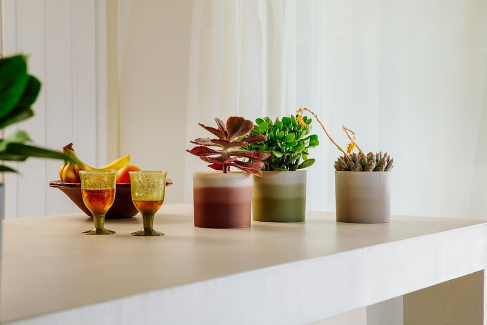 Ghiveci rotund elho Colour Gradient 16cm - pentru interior - 100% plastic reciclat - Ø 15.9 x H 14.7 - Verde/Verde bambus