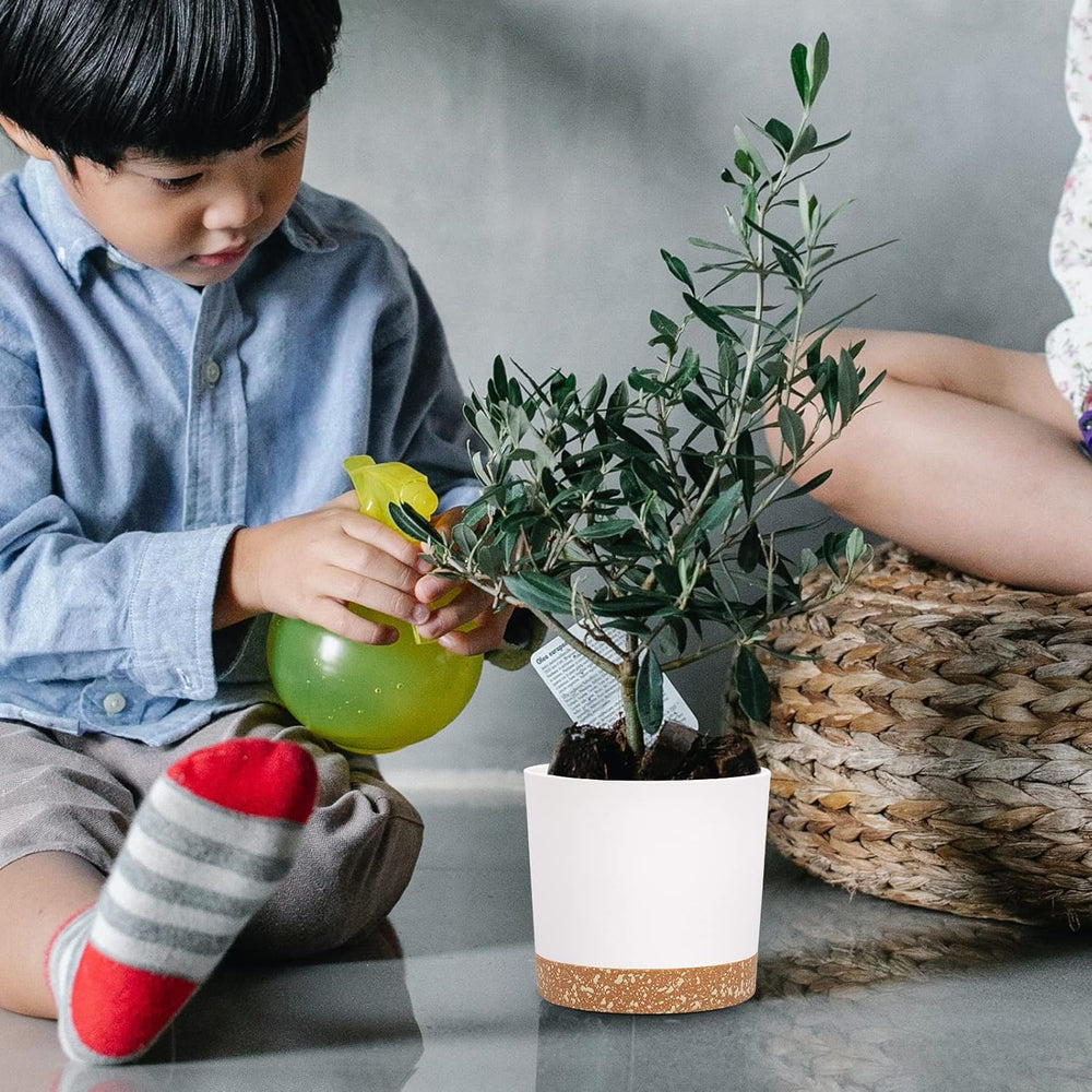 Ghiveci de flori set de 2 12,7 cm, ghivece pentru plante de interior cu găuri de drenaj și bază detașabilă, farfurioare decorative moderne pentru jardiniere de grădină de exterior (alb 12,7 cm)