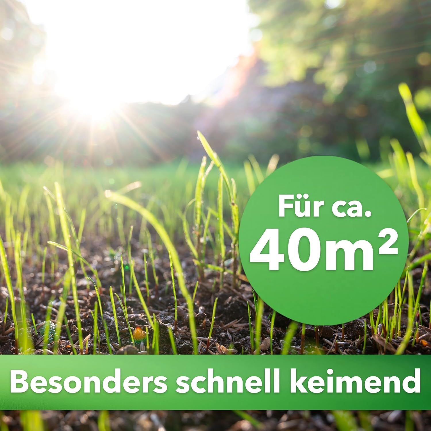 Hesa Sportrasen, 1 Kg Strapazierrasen Für Ca 40 M², Schnellkeimende Premium Rasensamen Für Starke Beanspruchung, Fussballrasen, Sportplatzrasen in Profiqualität, Auch Für Nachsaat