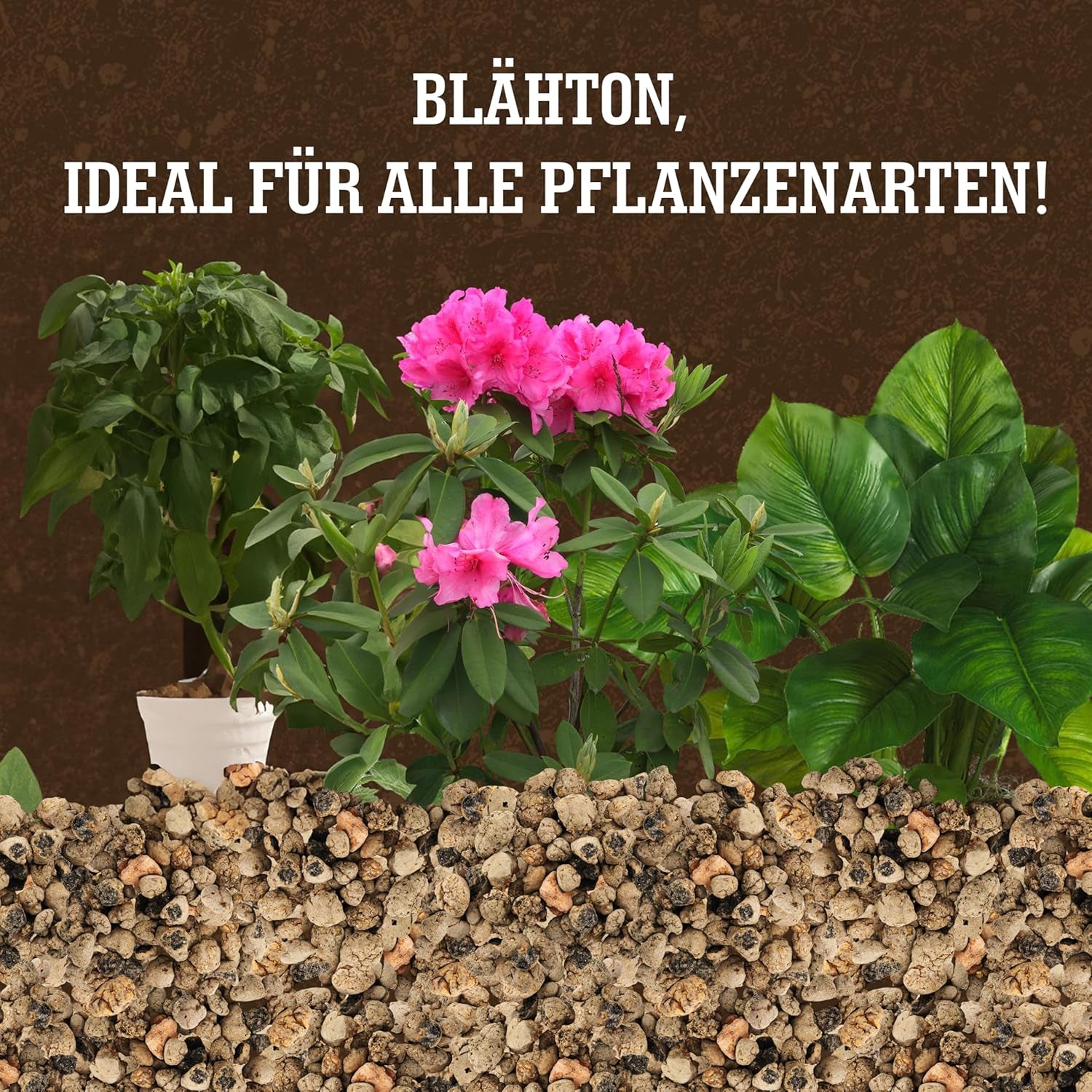 Argilă expandată LERAVA® (1L) – Granule de argilă pentru plante de apartament și hidroponie – Argilă vegetală cu pH neutru pentru drenaj optim – Ideală ca strat de drenaj sau granule de argilă decorative pentru plante