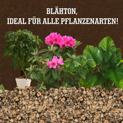 Argilă expandată LERAVA® (1L) – Granule de argilă pentru plante de apartament și hidroponie – Argilă vegetală cu pH neutru pentru drenaj optim – Ideală ca strat de drenaj sau granule de argilă decorative pentru plante