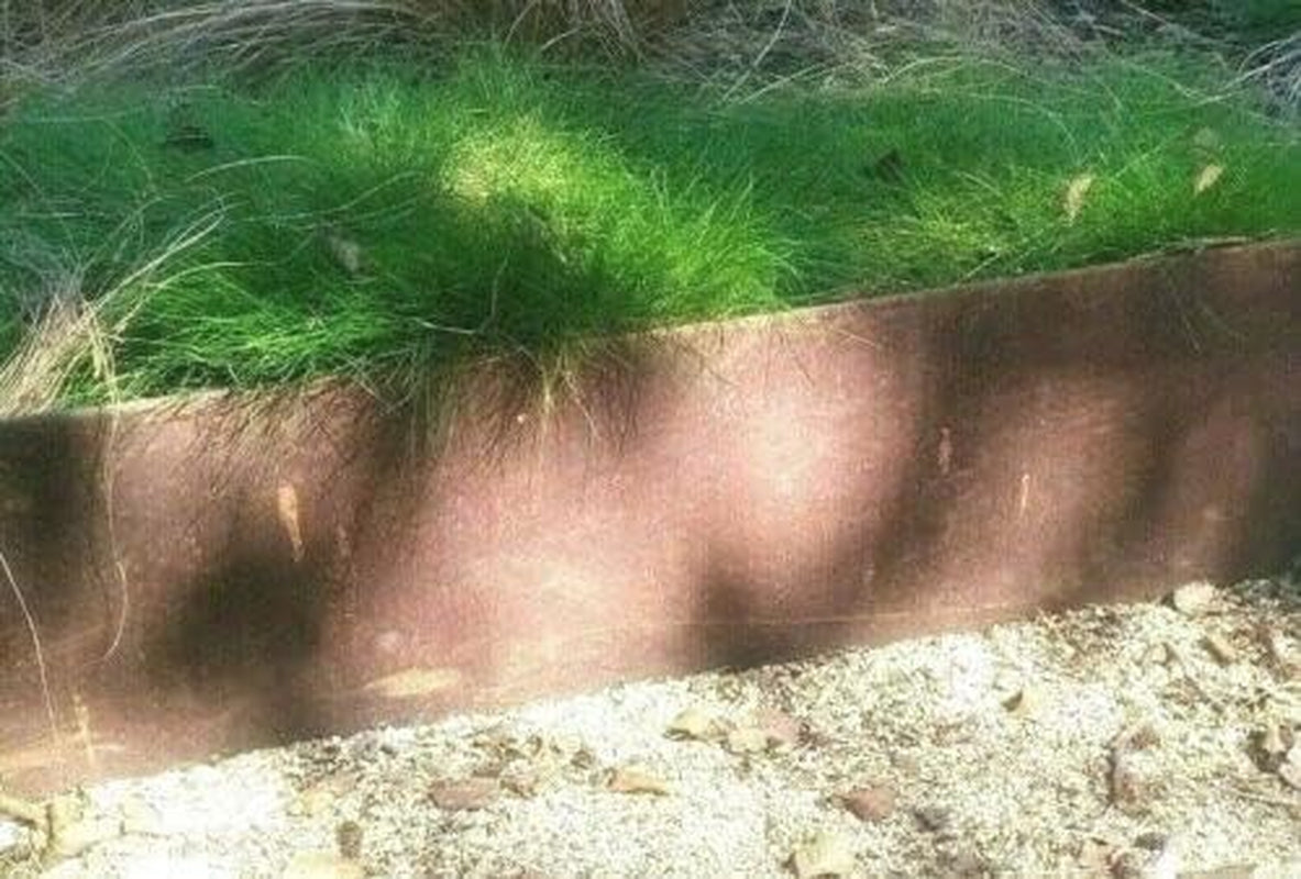 10 Stück Rasenkante Edelrost 18 Cm Hoch Dünn Biegsam 1 Meter Stücke