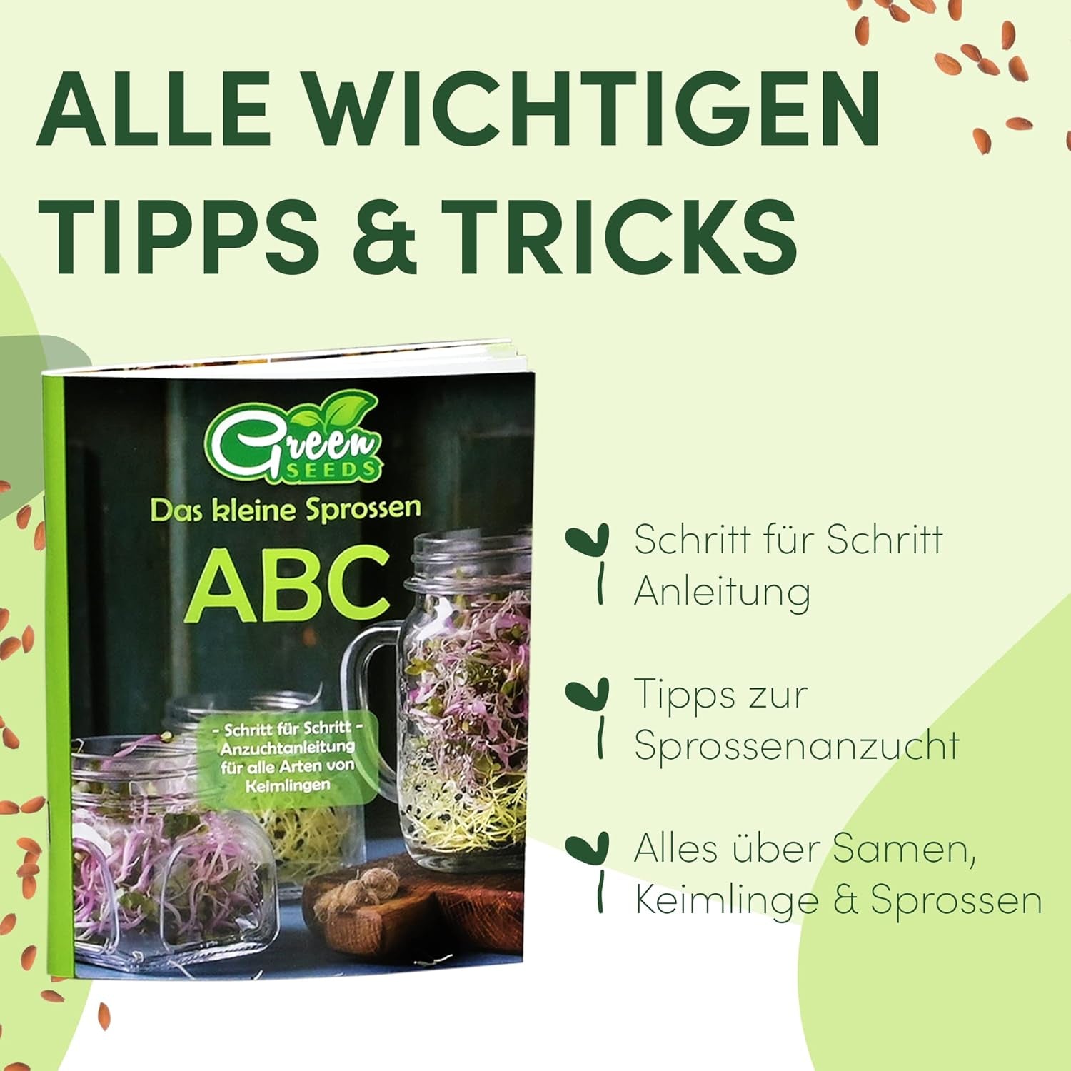 [Set original pentru începători cu borcan de germinare + sită pentru năsturel | 1000 ml cu capac din plasă din oțel inoxidabil de înaltă calitate, suport, tavă ceramică + ABC pentru germinare [Versiune tipărită] Tavă pentru răsaduri cu borcan de germinare