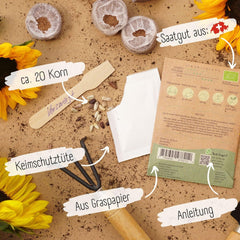 Semințe de floarea-soarelui organice, ramificate, 20 de semințe de floarea-soarelui cu o rată mare de germinare, semințe de floarea-soarelui pentru grădina, balconul, stratul de flori sau cadou pentru oaspeți. Semințe de flori cu polenizare liberă.