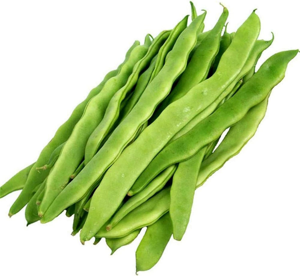 Stangenbohnen HELDA