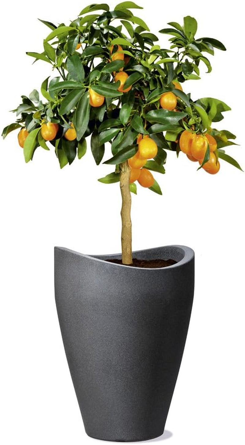 Scheurich Wave Globe High, recipient înalt din plastic, granit negru, diametru 29,8 cm, înălțime 40 cm, volum 6 l.