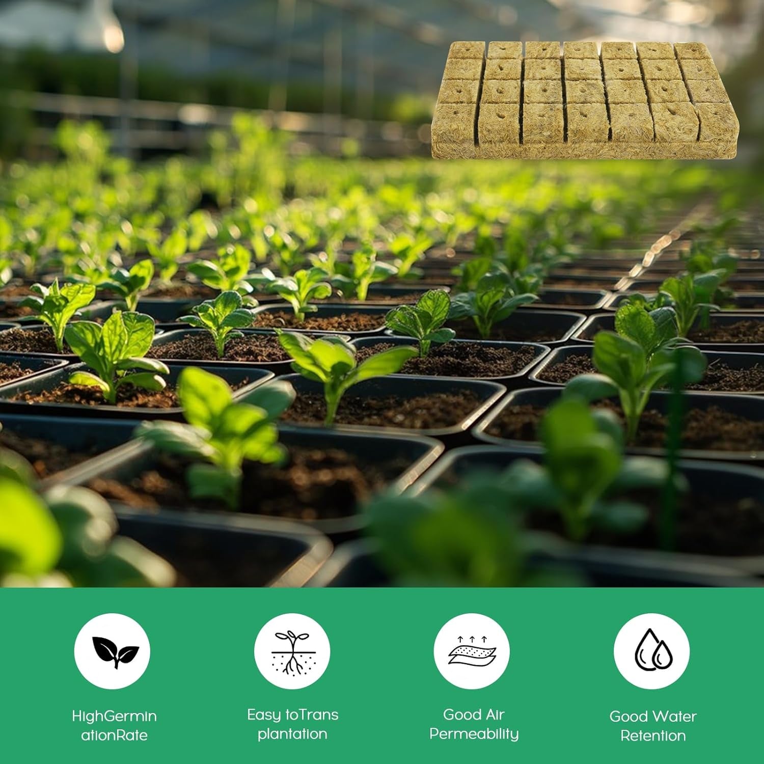 28 cuburi de lână Rockwool, Set de lână Rockwool, Covoraș de creștere Rockwool, Covoraș de creștere hidroponică fără sol, Cub de lână Rockwool, Cuburi de lână Rockwool pentru butași, Clonare, Propagare 4 * 4 * 4cm