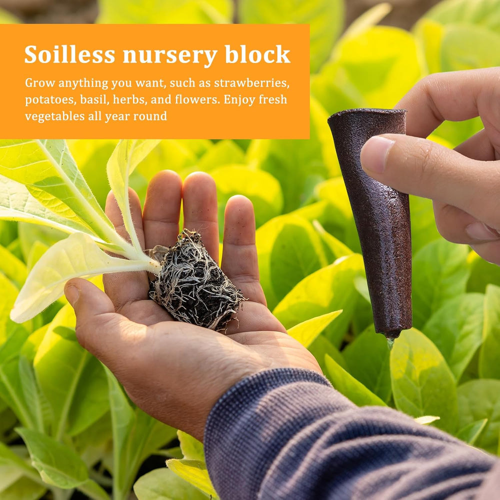 50 de bureți pentru creșterea hidroponică, bureți pentru răsaduri pentru hidroponie, dopuri de burete pentru creșterea rădăcinilor, potrivite pentru diverse tipuri de muguri, cum ar fi roșii, căpșuni, mentă