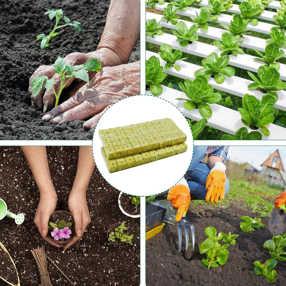 100 Stück Steinwolle Anzucht Würfel 2.5x2.5x2.5CM Rockwool Cube Anzuchtmatte Steinwolle Anbau Hydrokultur Umpflanzen für Bodenlose Anzucht Setzlinge Stecklinge Klonpflanzen