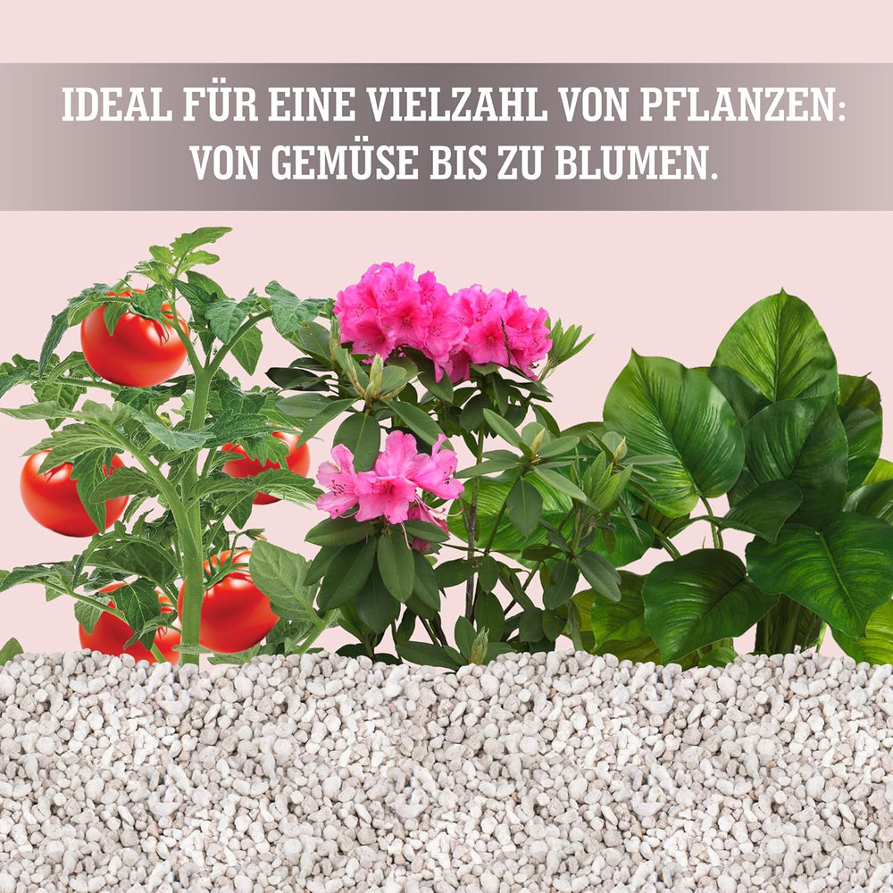 LERAVA® Perlit pentru plante (5L) – Perlit cu granulație grosieră pentru îmbunătățirea solului – Asigură drenaj și aerare optime – Aditiv natural pentru sol și hidroponie – Granule pentru plante