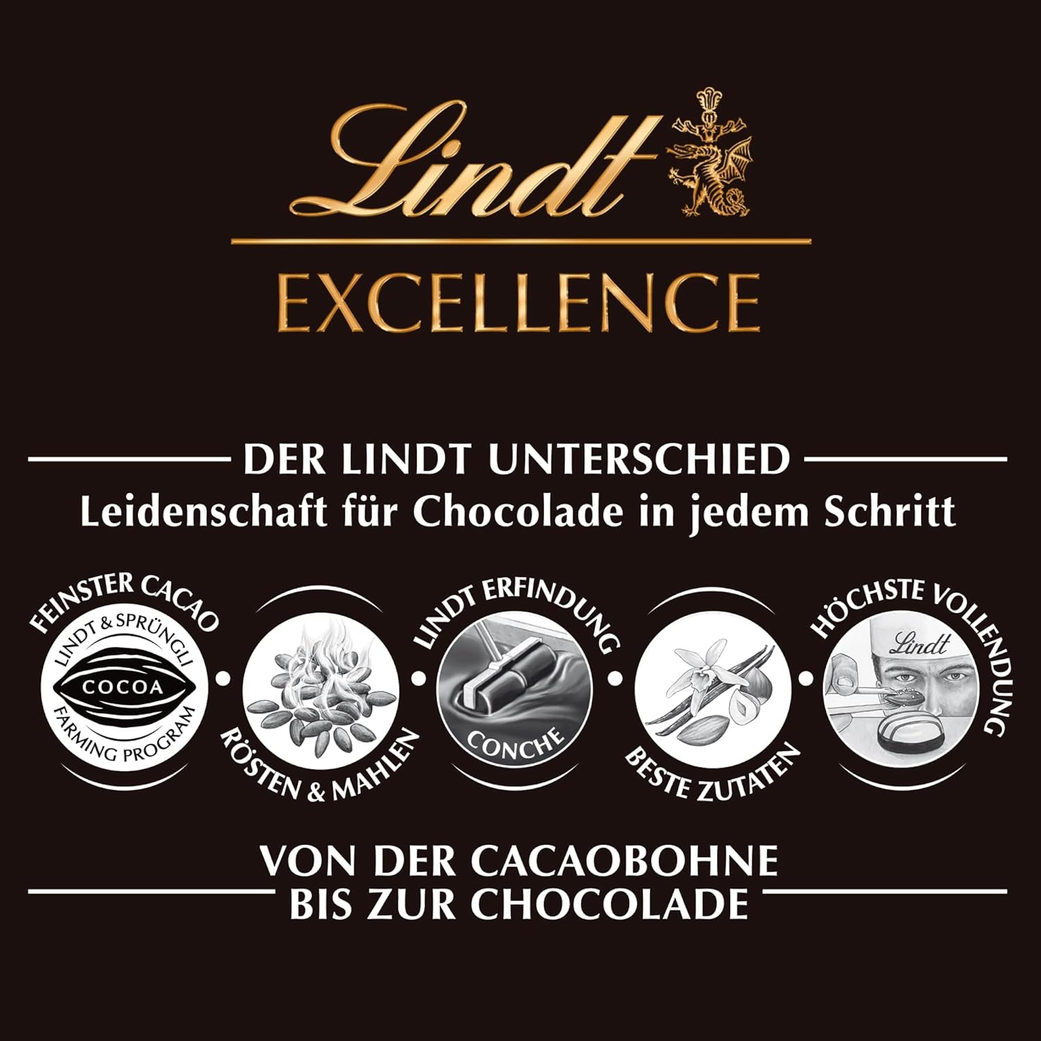 Lindt Excellence Lemn Dulce Sărat - Ciocolată Neagră Baton 100g - Aromă Intensă de Cacao