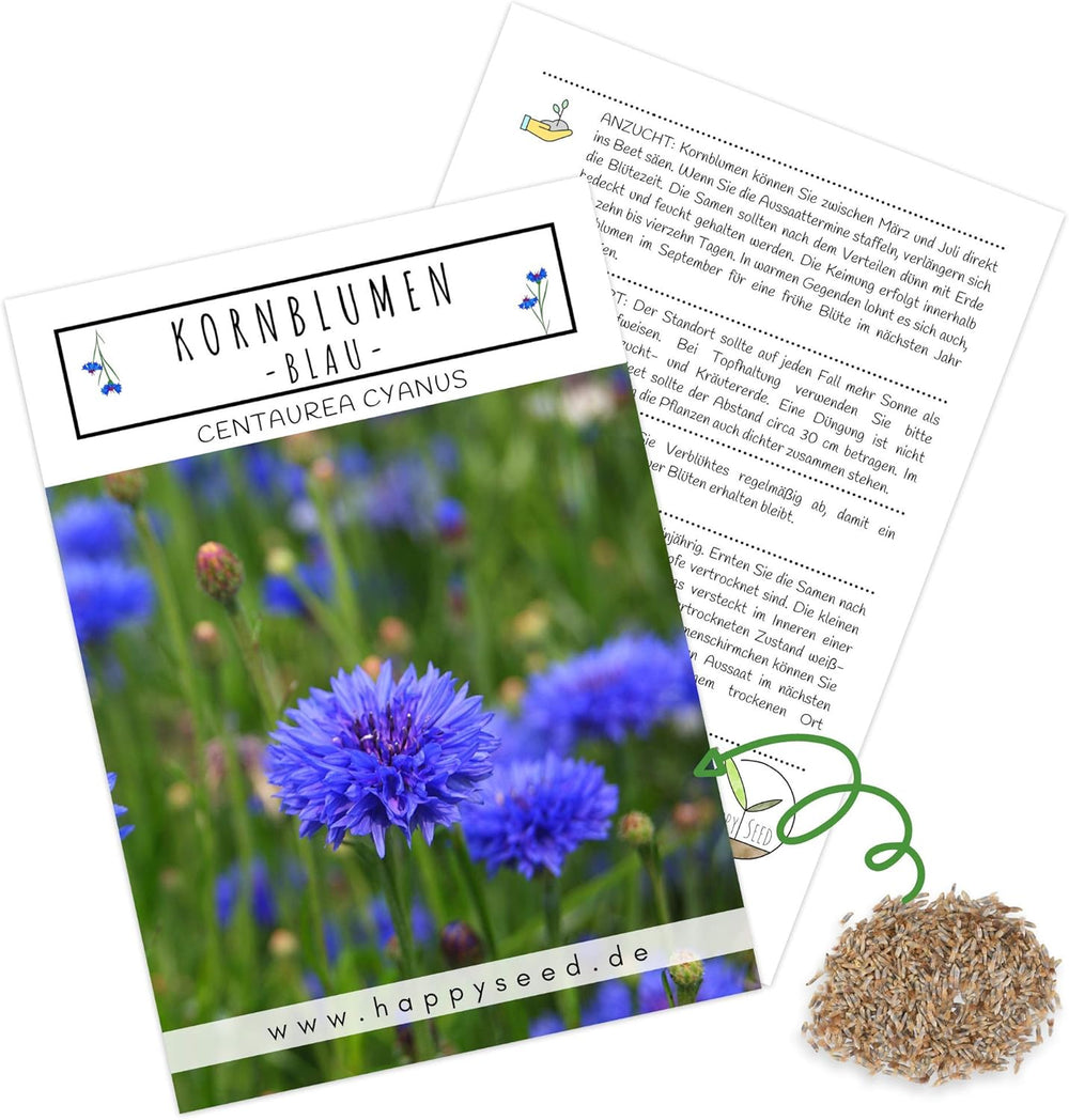 Semințe de albăstrele (Centaurea cyanus) - Flori frumoase și vibrante, cu o perioadă lungă de înflorire, pentru o pajiște cu flori colorate (Mix, 1000 de semințe, 80 cm)