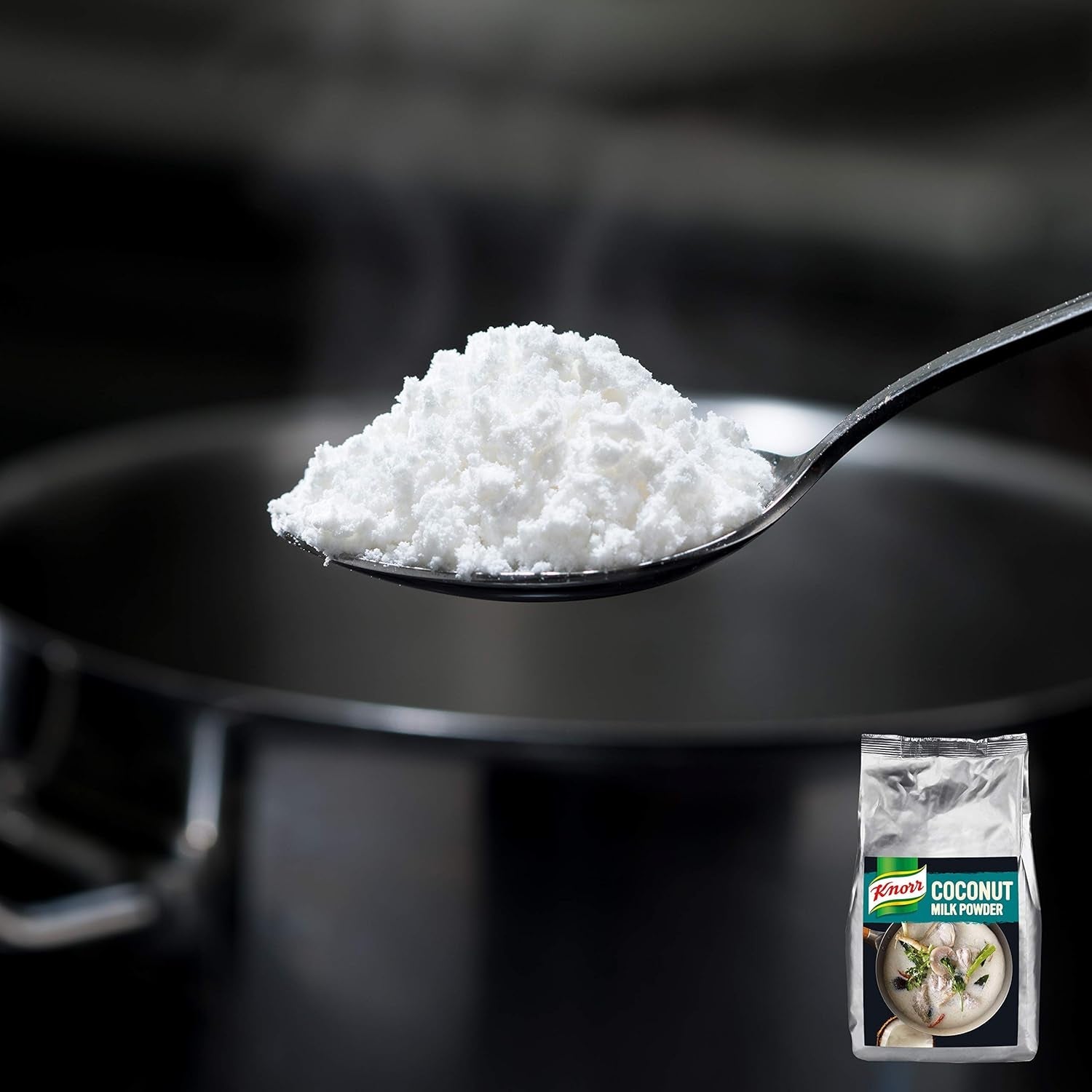 Knorr Kokosmilch Pulver (Milk Powder aus 20 frischen Kokosnüssen, ergibt 6,6 Liter Kokosmilch) 1er Pack (1 x 1 kg)
