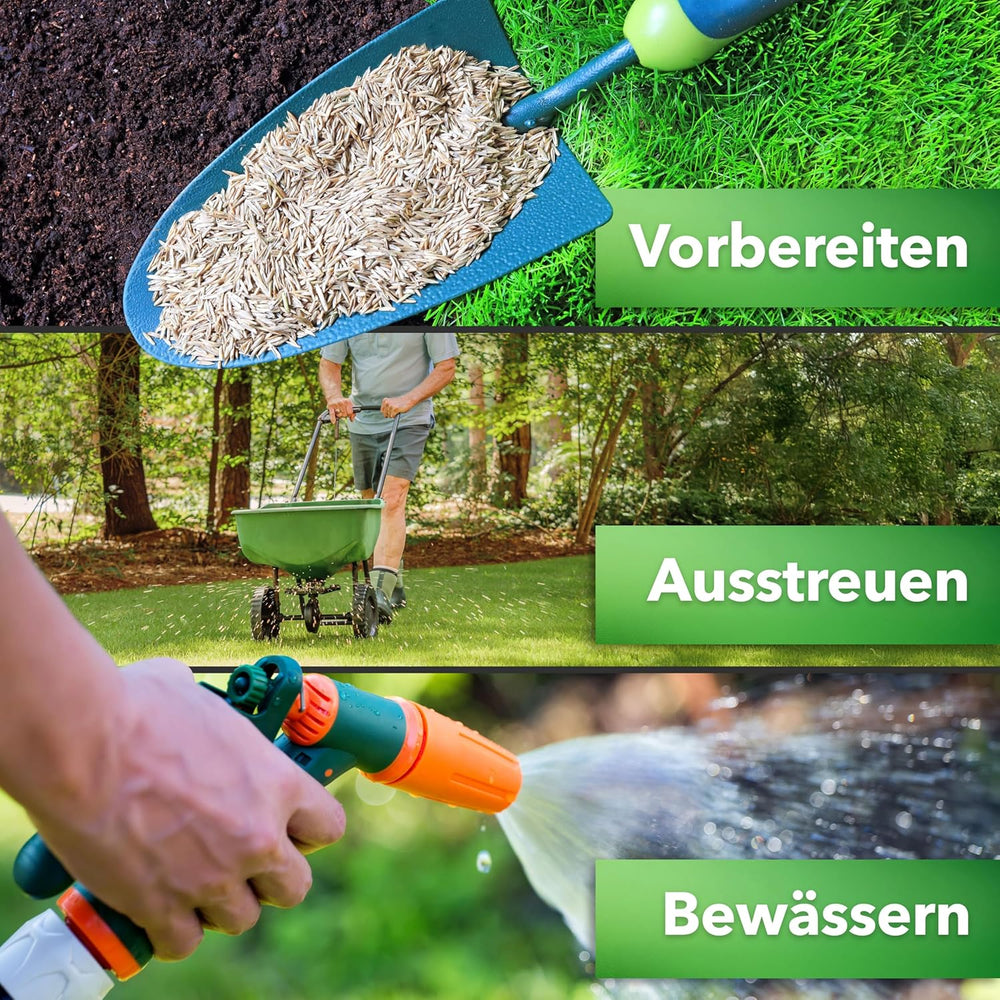 Hesa Gebrauchsrasen 1 Kg Für 40 M², RSM 2.3, Schnellkeimende Premium Rasensamen Sport- Und Spielrasen, Grassamen Strapazierfähig Und Robust in Profiqualität
