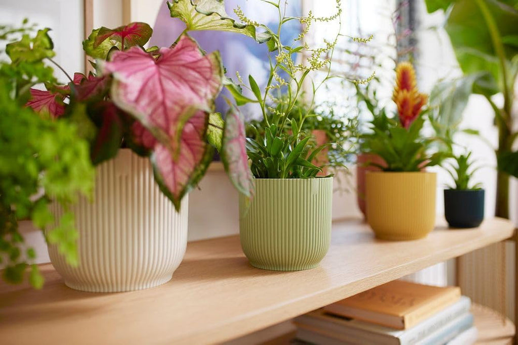 Ghiveci elho Vibes Fold Round 14 - Ghiveci de flori de interior - Plastic 100% reciclat - Ø 14,1 x H 12,9 cm - Verde/Verde Sorbet