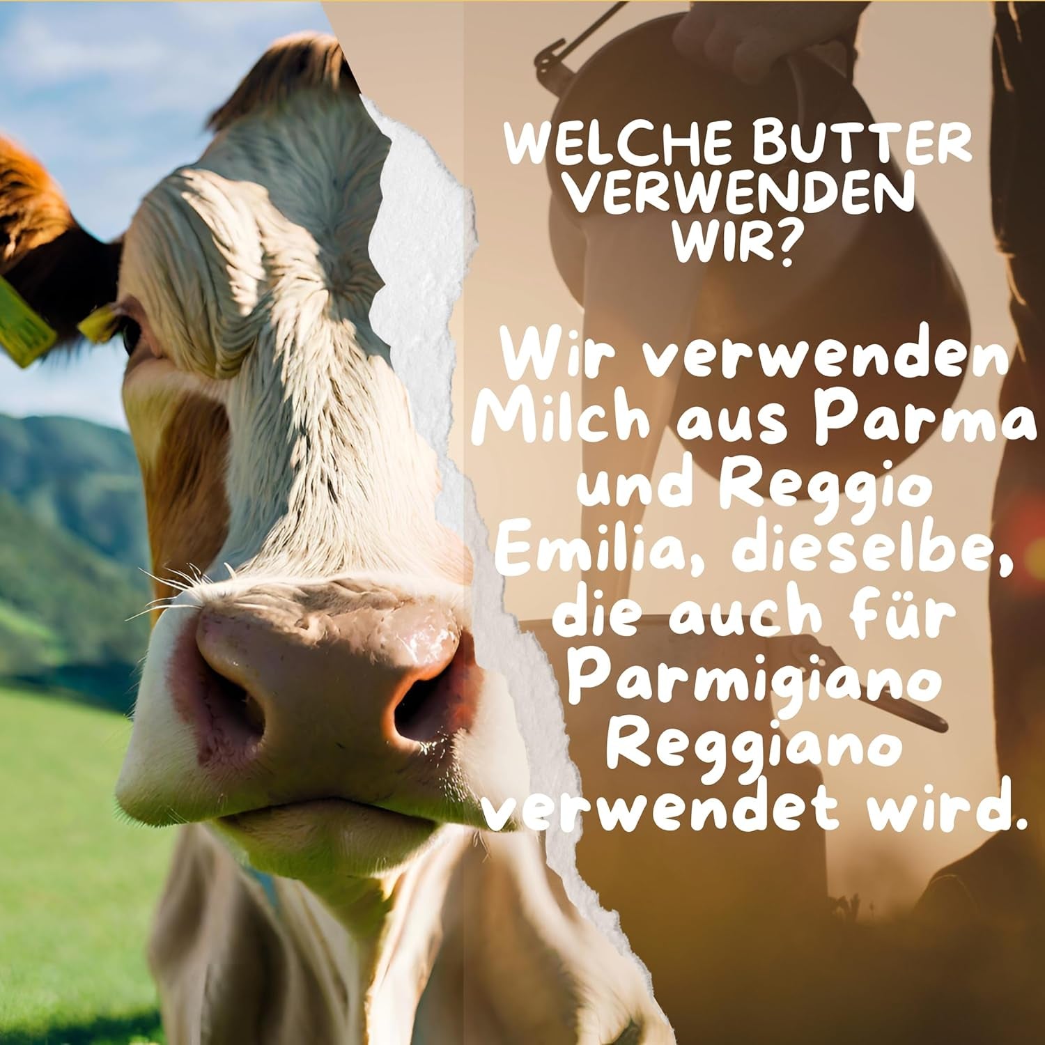 Cibo Bio Ghee 500g – Milch aus Parma & Reggio Emilia – Hergestellt in Italien – Weidekühe – Rauchpunkt 250°C – Aus Zentrifugensahne