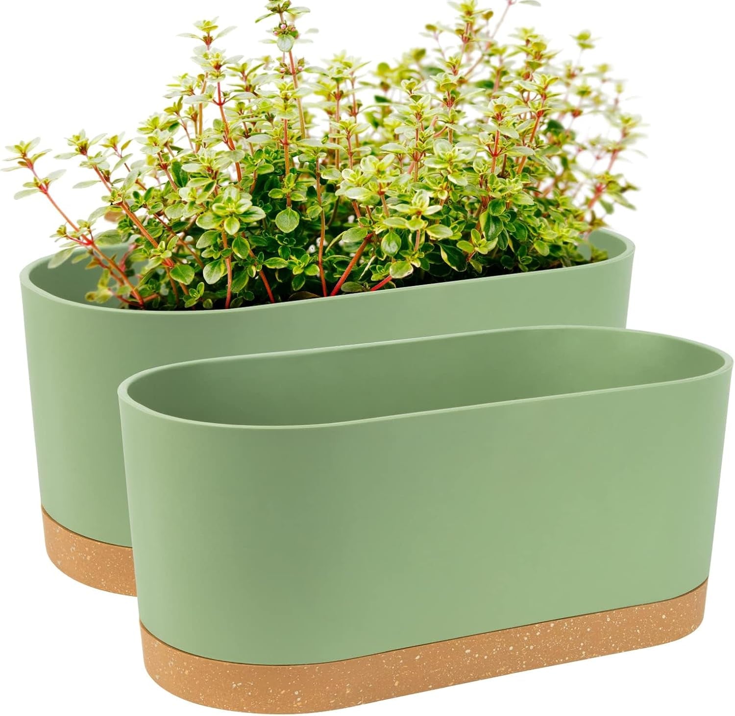 Ghiveci de flori set de 2 12,7 cm, ghivece pentru plante de interior cu găuri de drenaj și bază detașabilă, farfurioare decorative moderne pentru jardiniere de grădină de exterior (alb 12,7 cm)