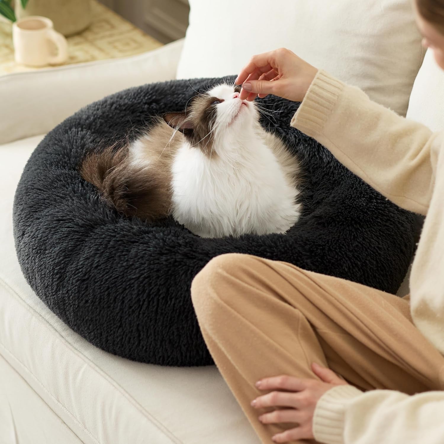 Paturi, cuverturi & mobilier, animale de companie, pisici, paturi pisici, Pisici - culcusuri, saltele