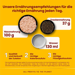 Almo Nature HFC Urinary Help - Nassfutter für Katzen - Unterstützung für die Harnwege - Hühnerbrust & Cranberries - Human Grade, Monoprotein, Glutenfrei - 24x50g