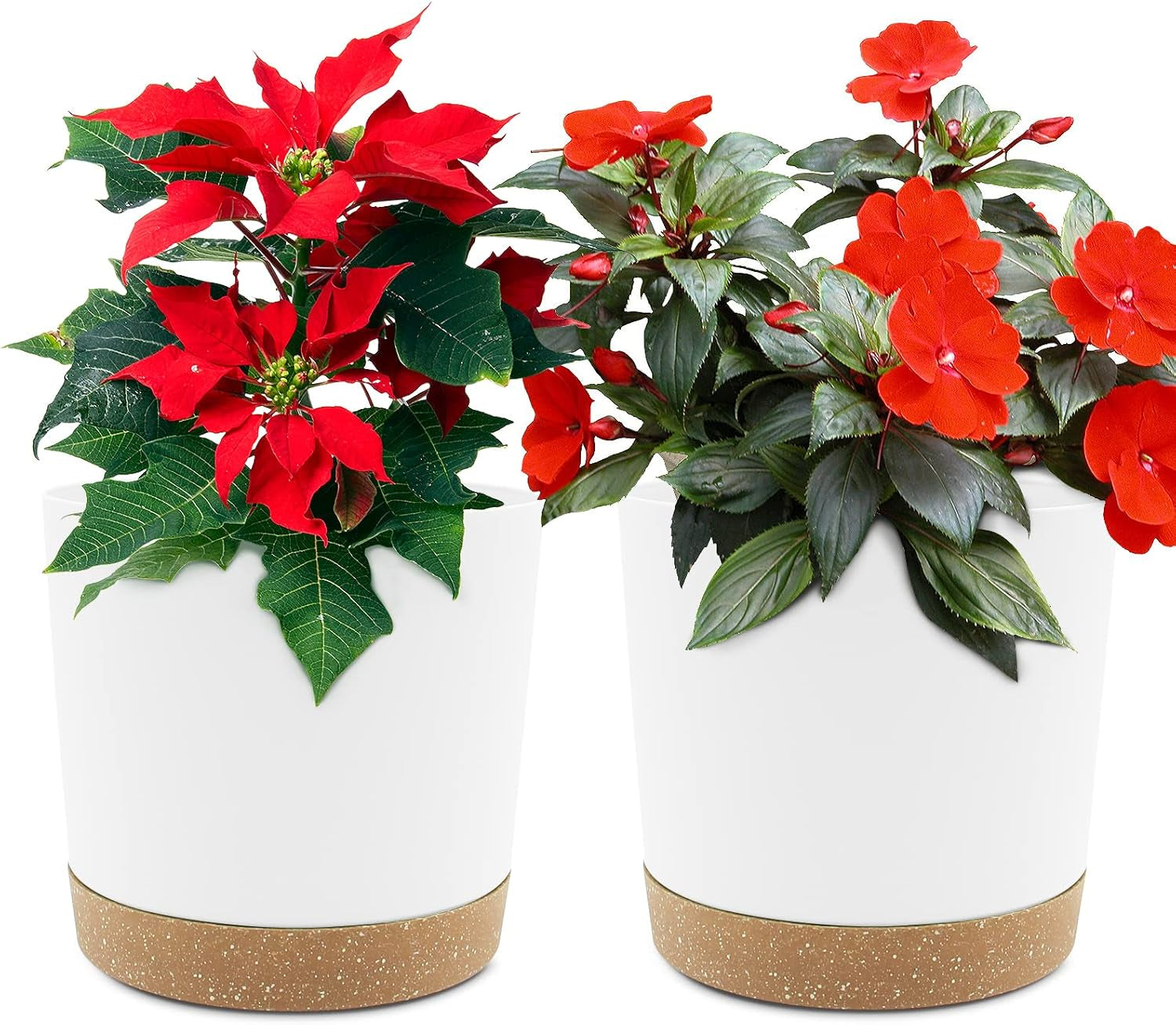 Ghiveci de flori set de 2 12,7 cm, ghivece pentru plante de interior cu găuri de drenaj și bază detașabilă, farfurioare decorative moderne pentru jardiniere de grădină de exterior (alb 12,7 cm)