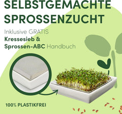 [Set original pentru începători cu borcan de germinare + sită pentru năsturel | 1000 ml cu capac din plasă din oțel inoxidabil de înaltă calitate, suport, tavă ceramică + ABC pentru germinare [Versiune tipărită] Tavă pentru răsaduri cu borcan de germinare