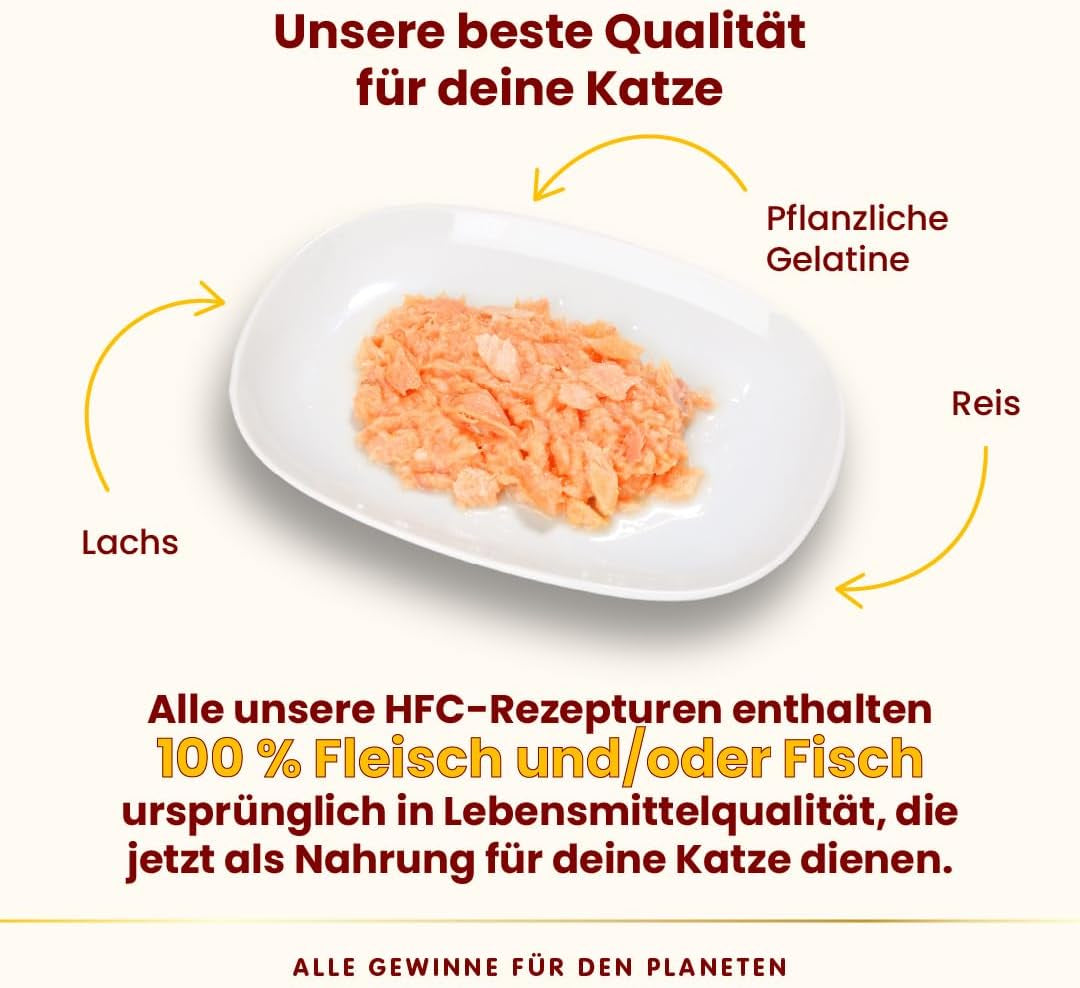 Almo Nature HFC Jelly - Nassfutter für ausgewachsene Katzen - Lachs - Human Grade, Glutenfrei & Monoprotein - 6 x 70g