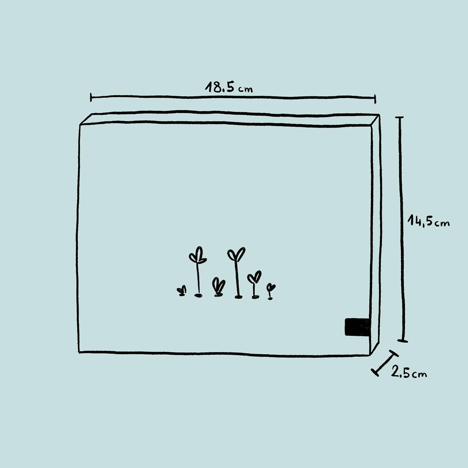 Plante parfumate - set cadou cu semințe și 6 plante cu flori frumos parfumate