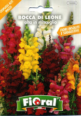 Blumen-Saatgut in Tütchen Für Amateur-Verwendung