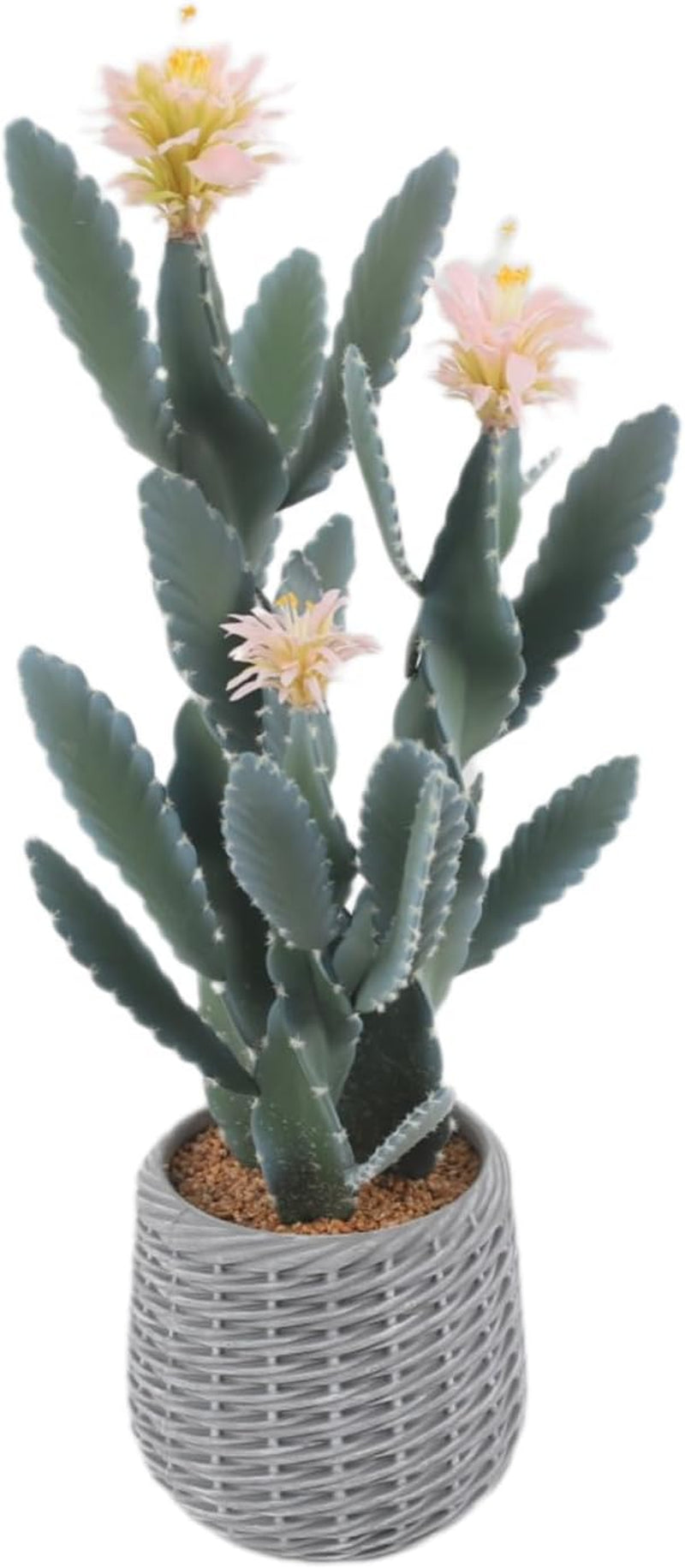 Künstlicher Kaktus, 91Cm Kunstpflanze Kaktuspflanzen Groß, Euphorbia Acrurensis Sehr Pflegeleicht, Kunstpflanze Im Topf Pflanzen Dekoration Für Zuhause Garten Büro Dekoration Einweihungsgeschenke - B