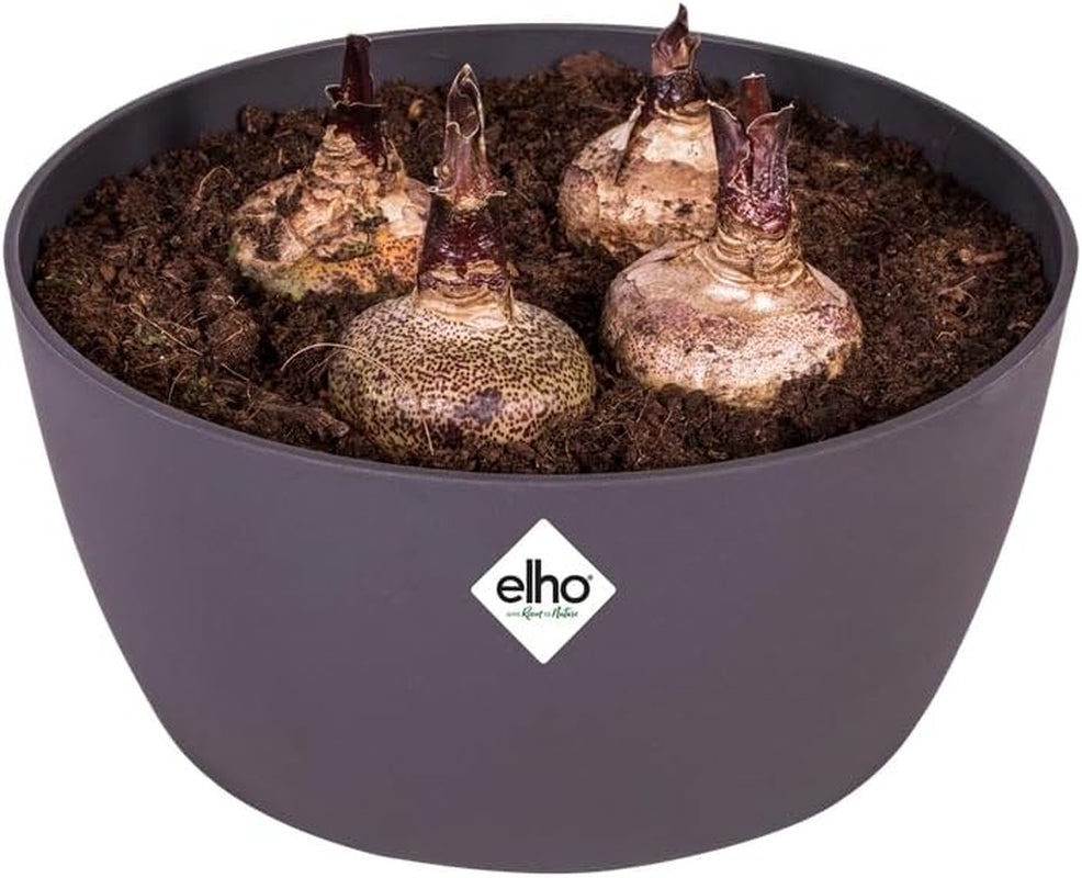 elho Brussels Bowl 23 - Ghiveci de flori de interior - Ø 22,9 x H 10,8 cm - Negru/Antracit