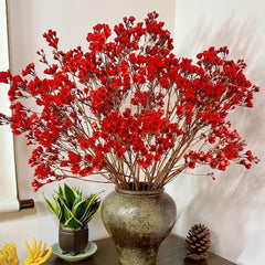 Chamelaucium Uncinatum Hecken Sträucher Winterhart Blühend Ausgefallene Geschenke Minigarten Für Sonnige Plätze Exotische Bio Grünpflanzen Garten Baumsamen Bonsai Zimmerpflanze 25Samen
