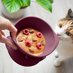 Bol pentru pisici ne&no® din silicon cu înclinare reglabilă | Bol pentru hrănirea pisicilor ridicat | Bol pentru hrana pisicilor