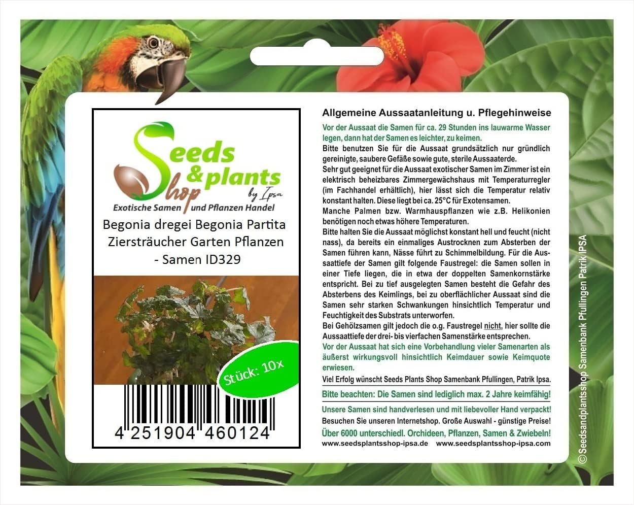 Stk - 10X Begonia Dregei Begonia Partita Ziersträucher Garten Pflanzen - Samen ID329 -