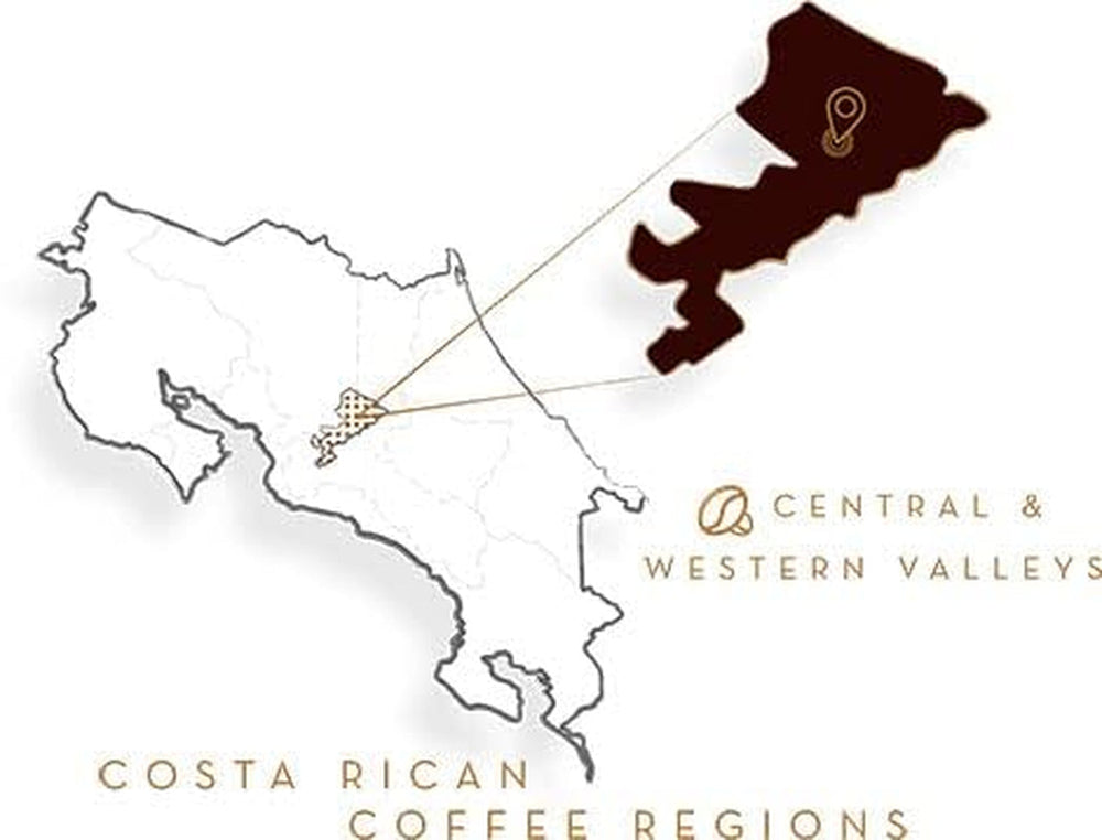 Café Britt® - Cafea Espresso Costa Ricană (Pachet de 1) (2 lbs - Boab întreg, Cafea Arabica, Kosher, Fără Gluten, 100% Gourmet și Prăjire Neagră)