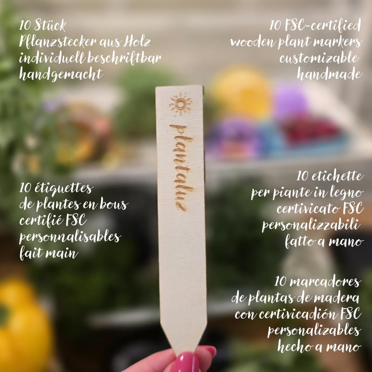 Set de semințe premium organice Plantaluz P04 – Set de semințe mediteraneene pentru legume și plante aromatice cu 10 soiuri pentru grădină, balcon și straturi înalte – incl. bețe de plantare FSC – Semințe organice cu polenizare liberă și fără OMG